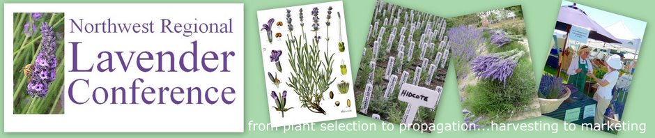 NW Regional Lavender Conference