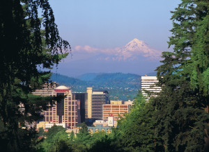 View from Washington Park